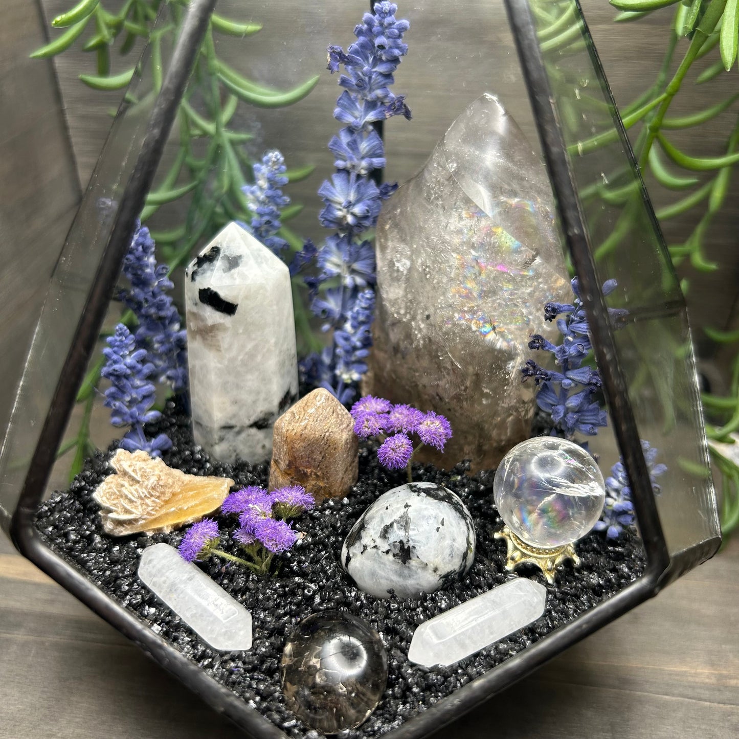 XL terrarium