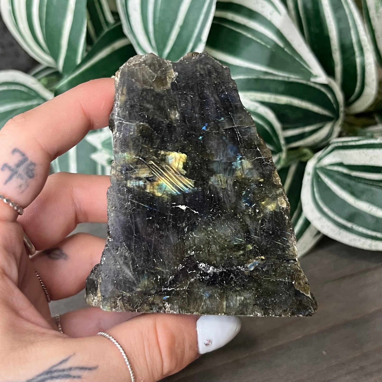 half polished labradorite freeform