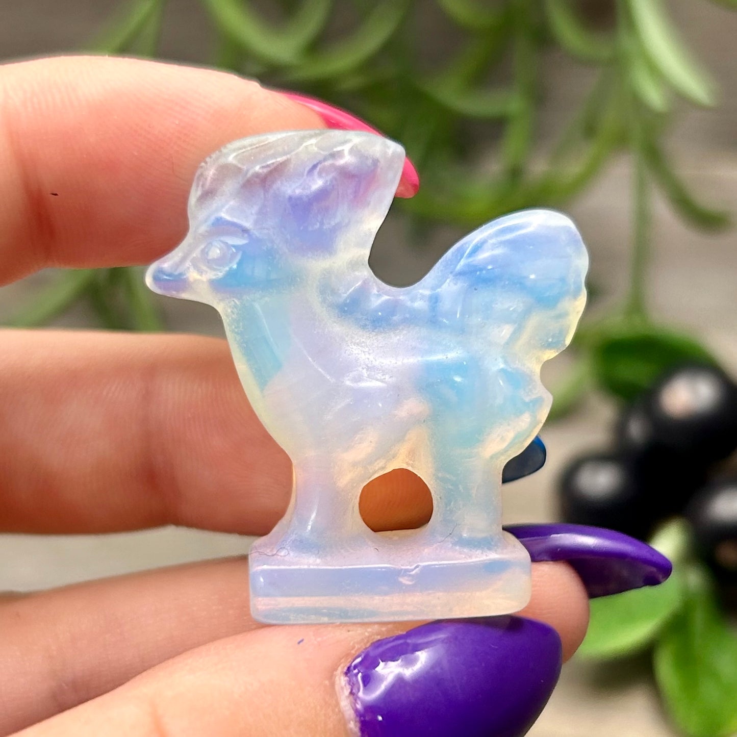 opalite Ponyta