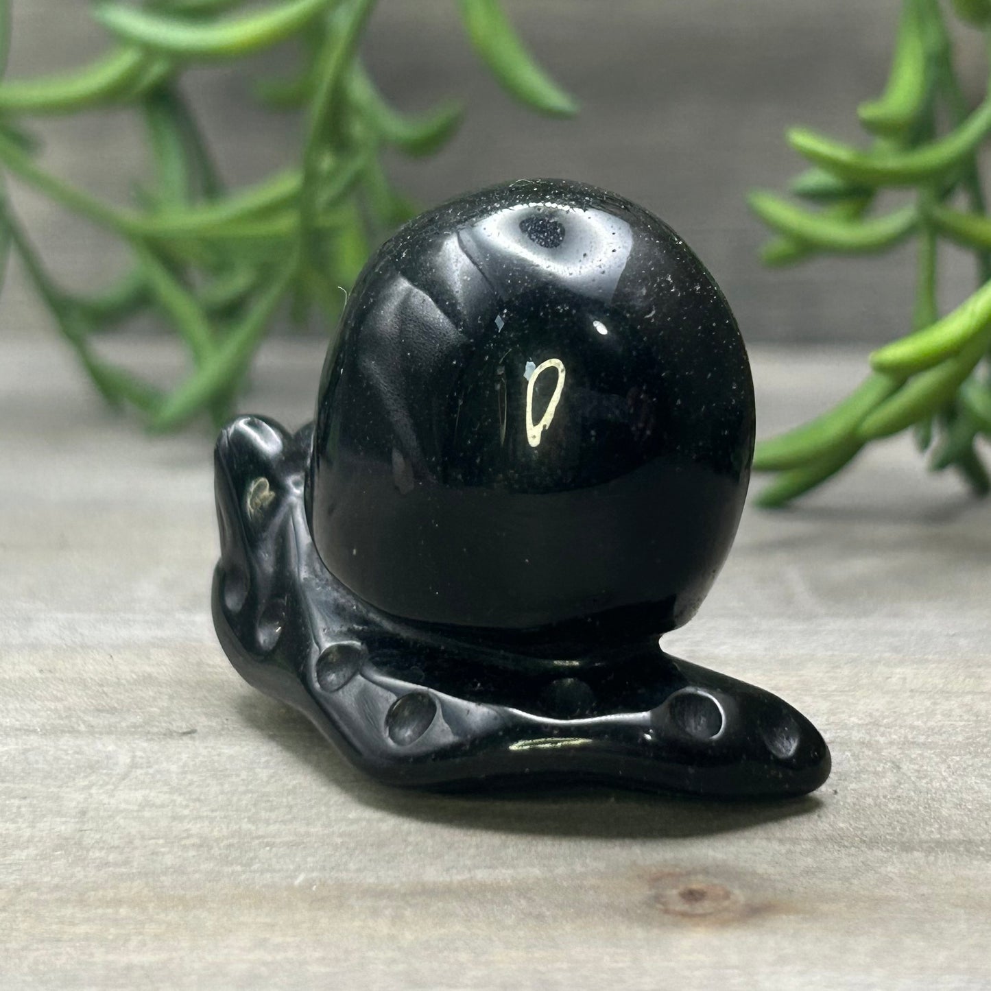 gold sheen obsidian snail