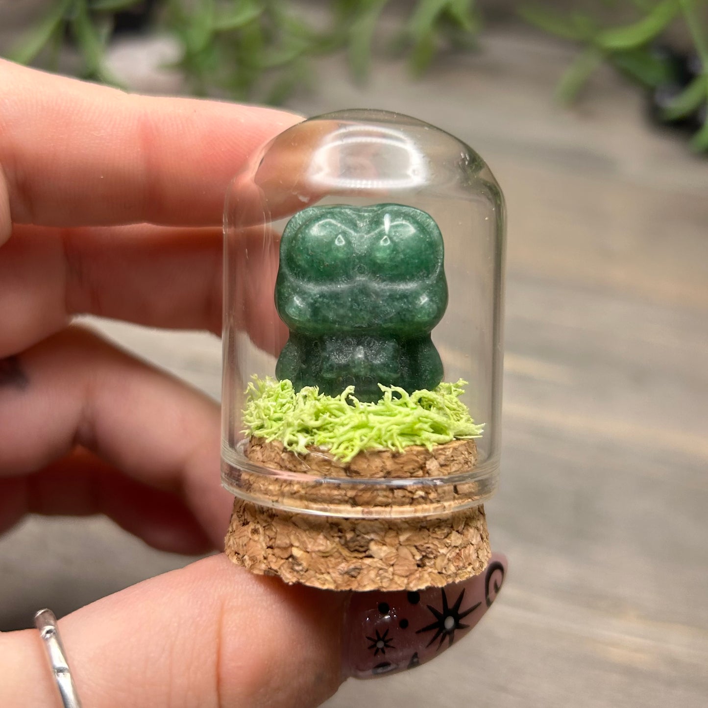 mini sanrio terrarium