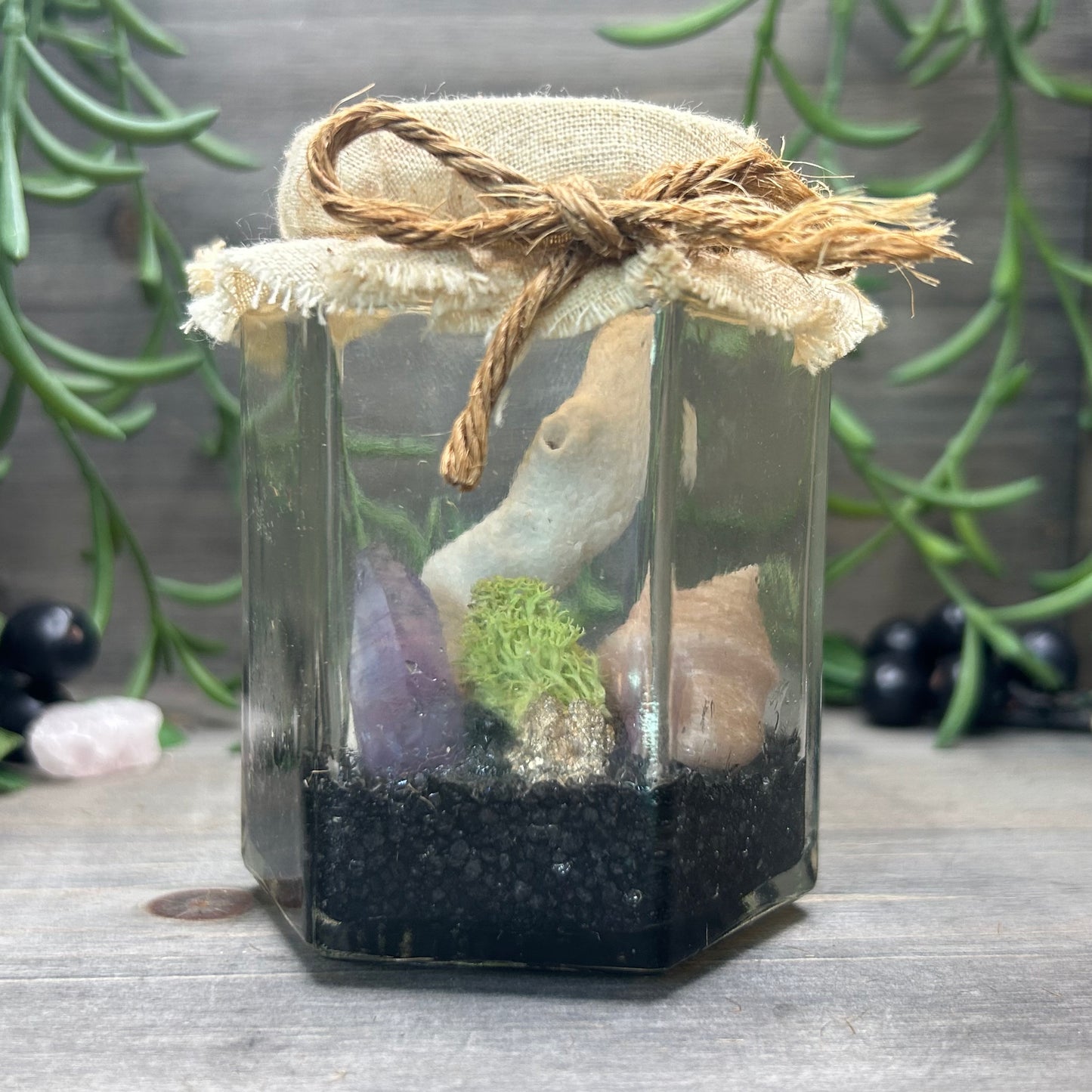 ocean themed terrarium