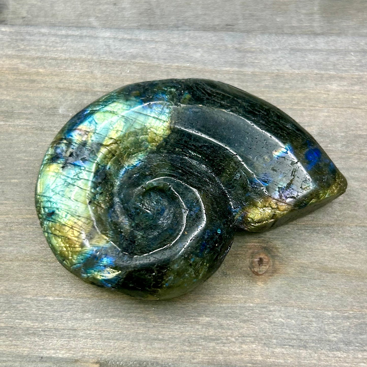 labradorite ammonite