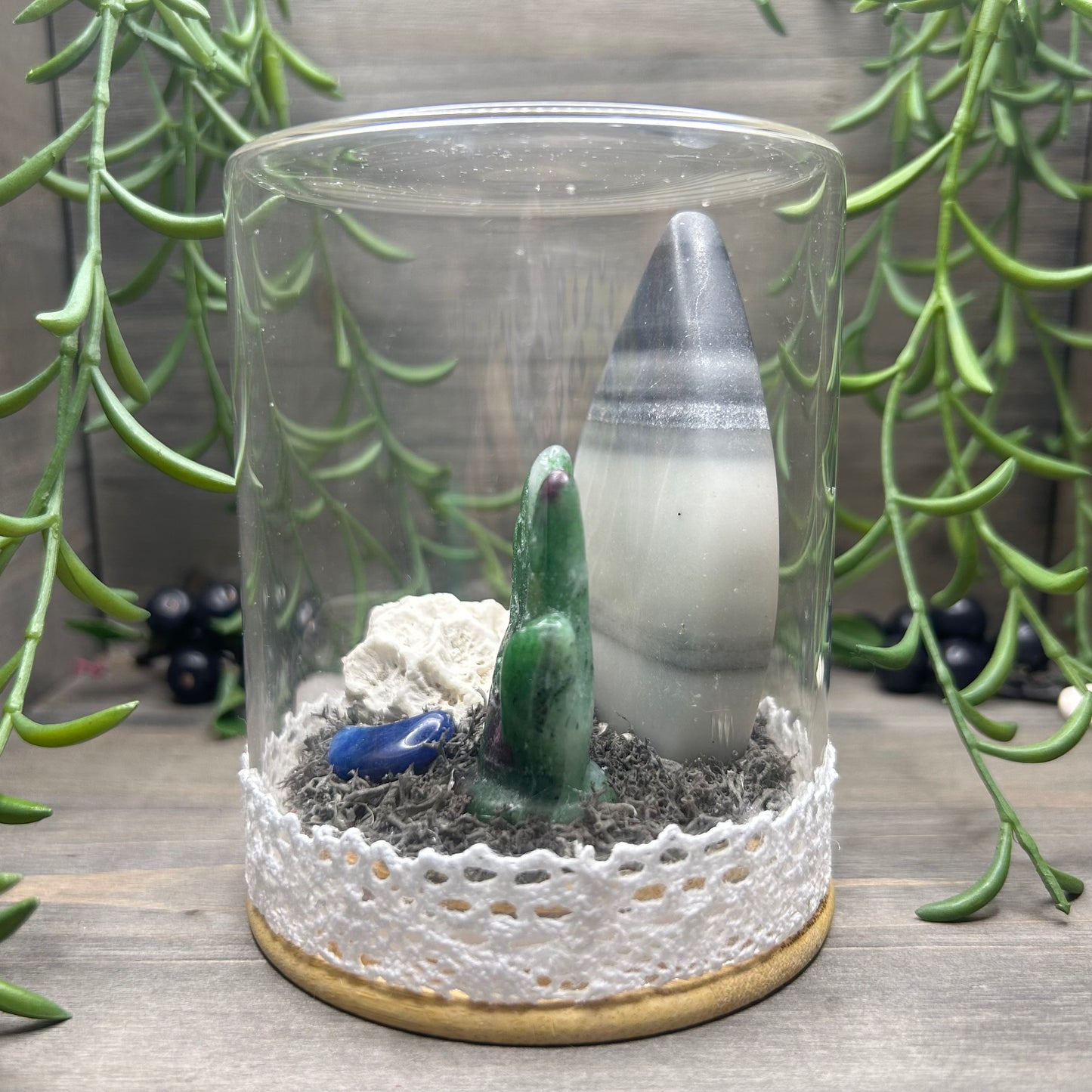 taiji terrarium