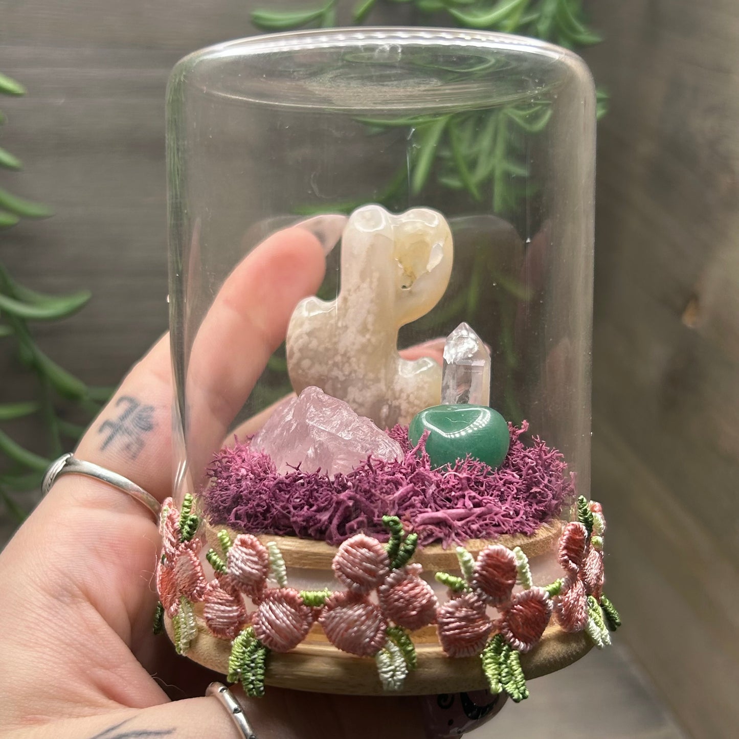 flower agate cactus terrarium