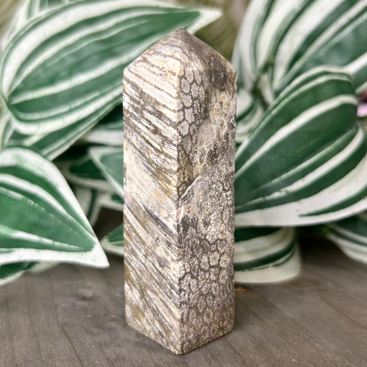 fossilized coral tower