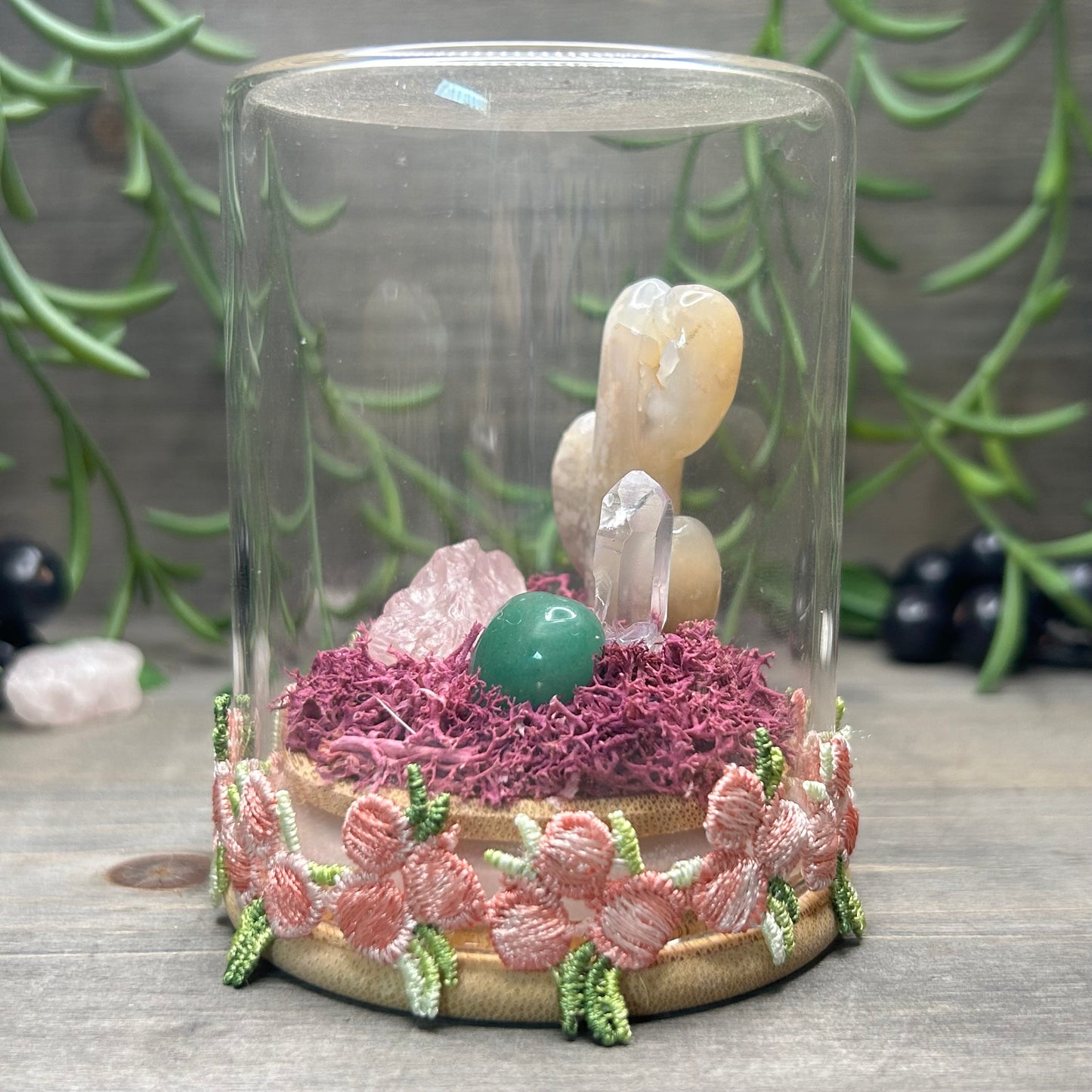 flower agate cactus terrarium