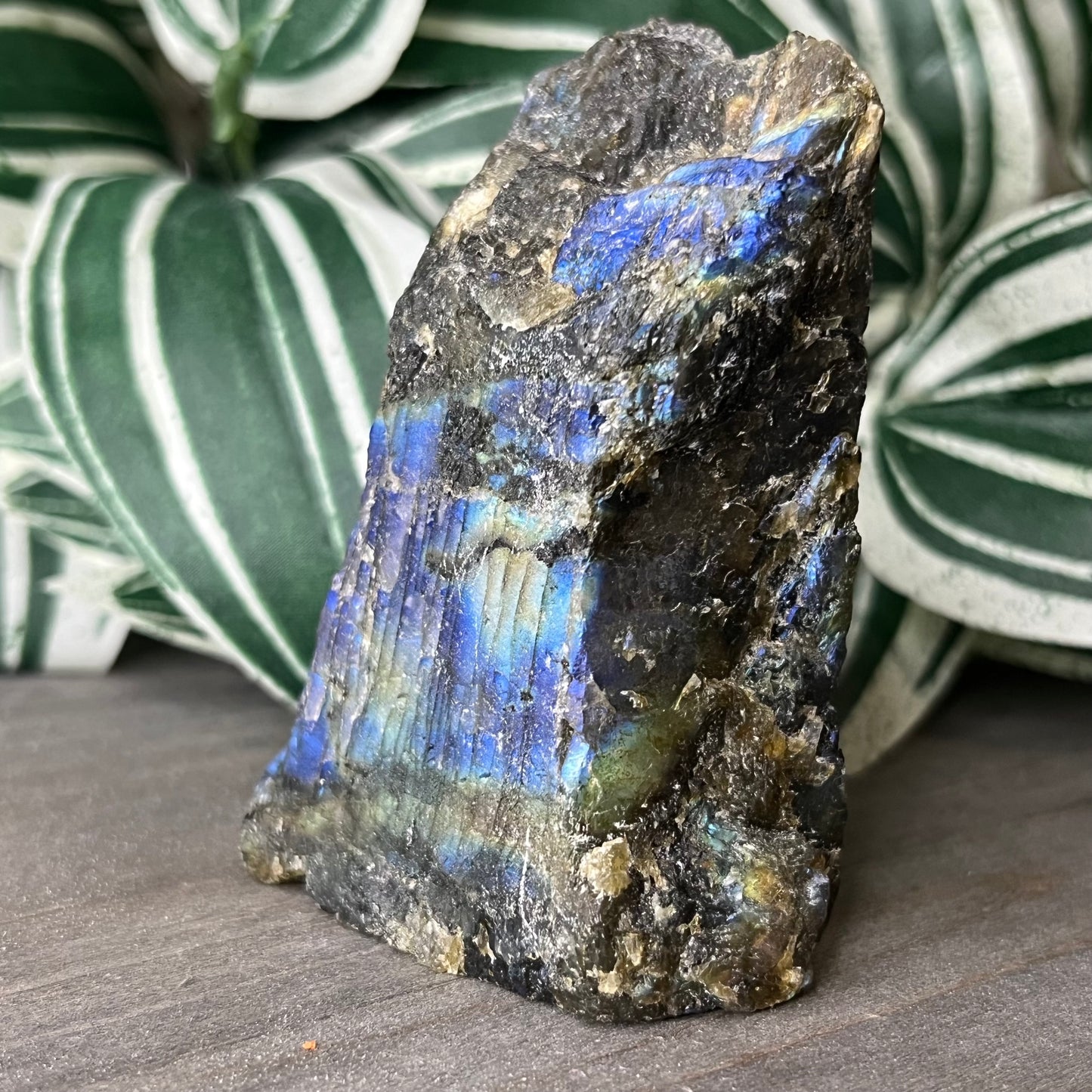 half polished labradorite freeform