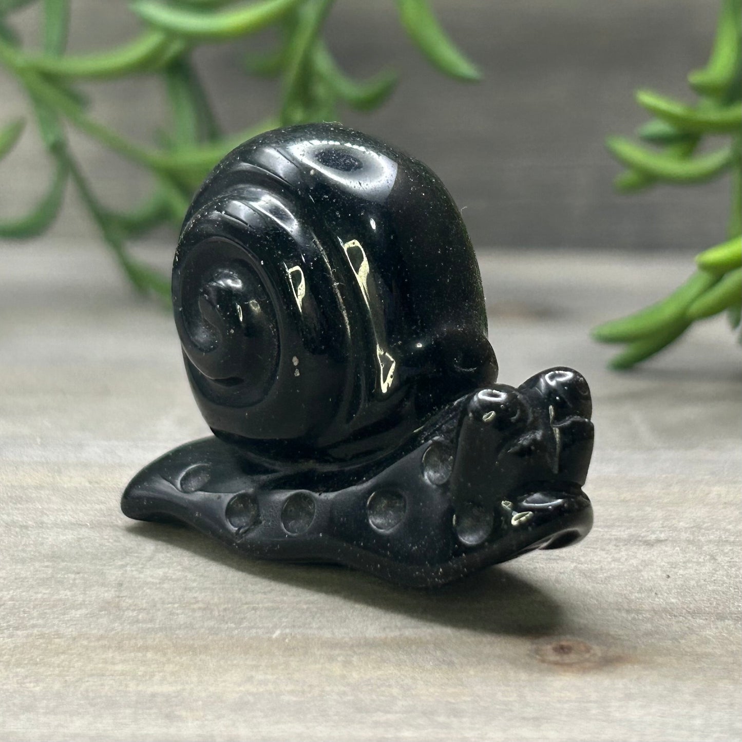 gold sheen obsidian snail