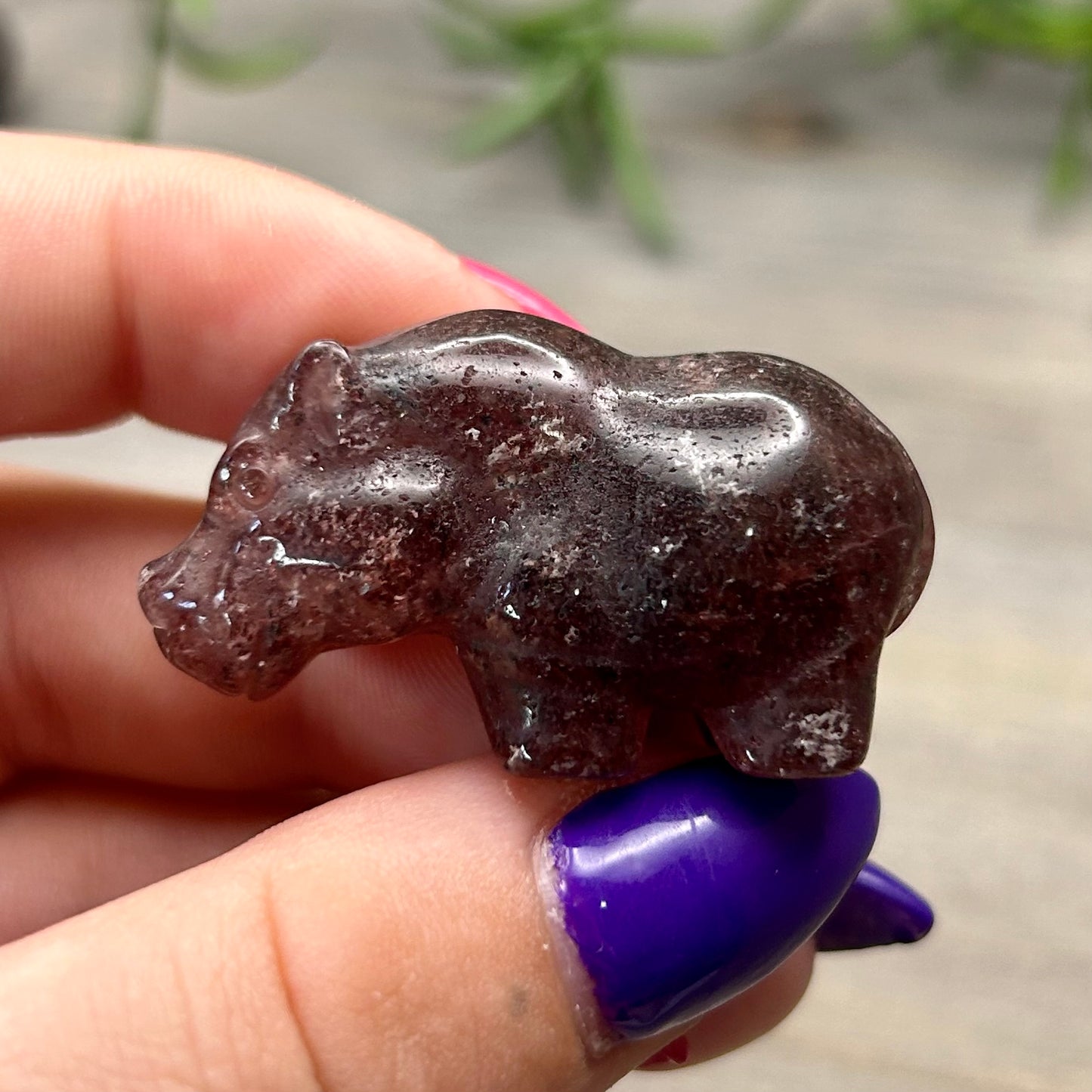 crystal hippo