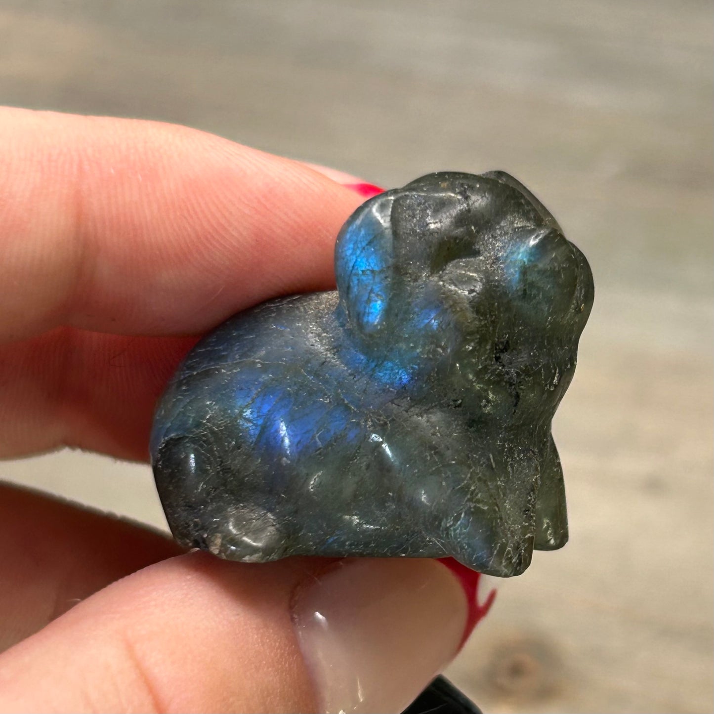 labradorite pig