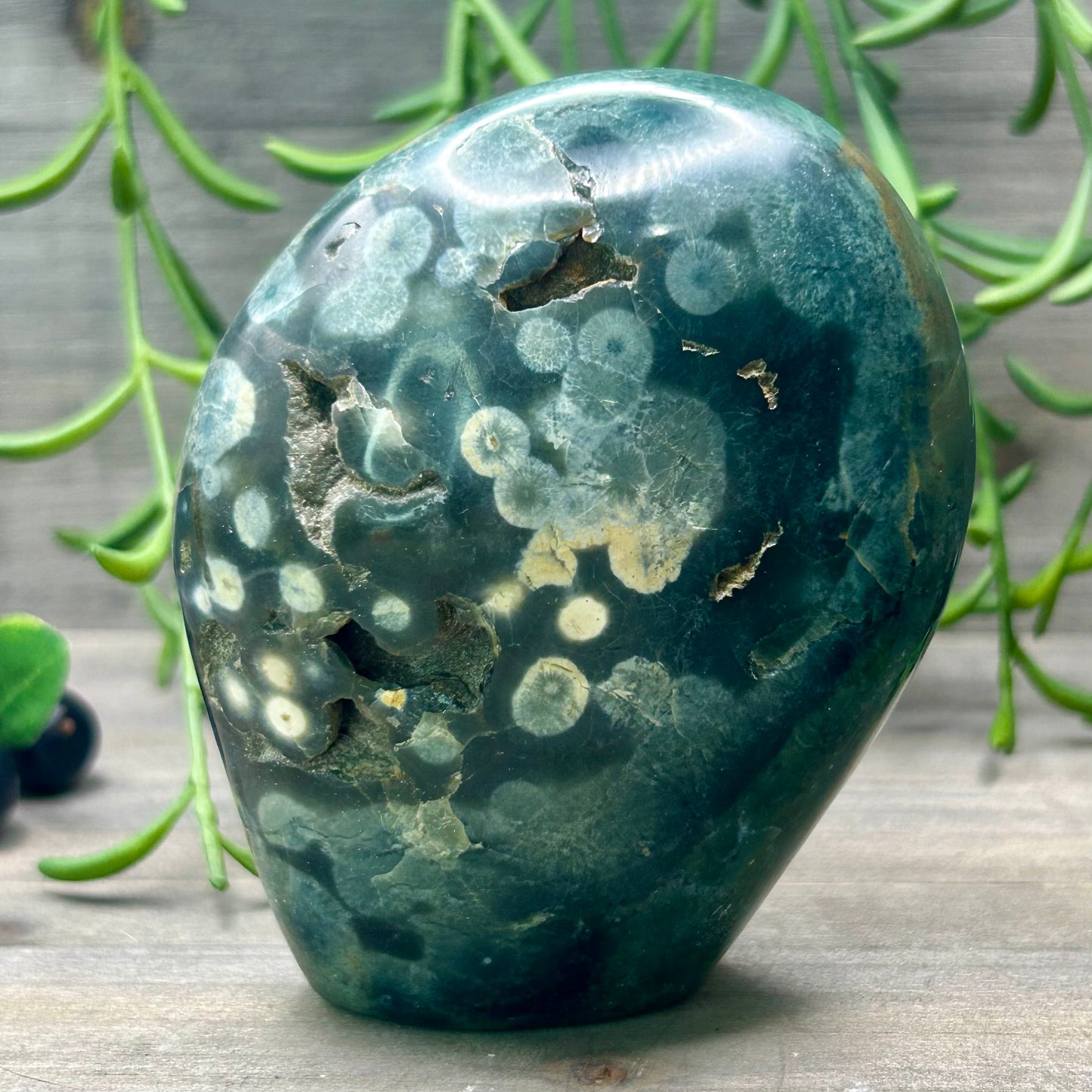 ocean jasper freeform