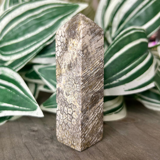 fossilized coral tower