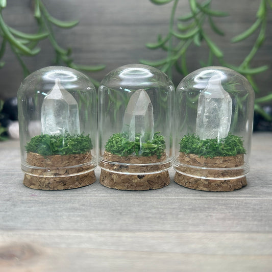 mini clear quartz terraroum