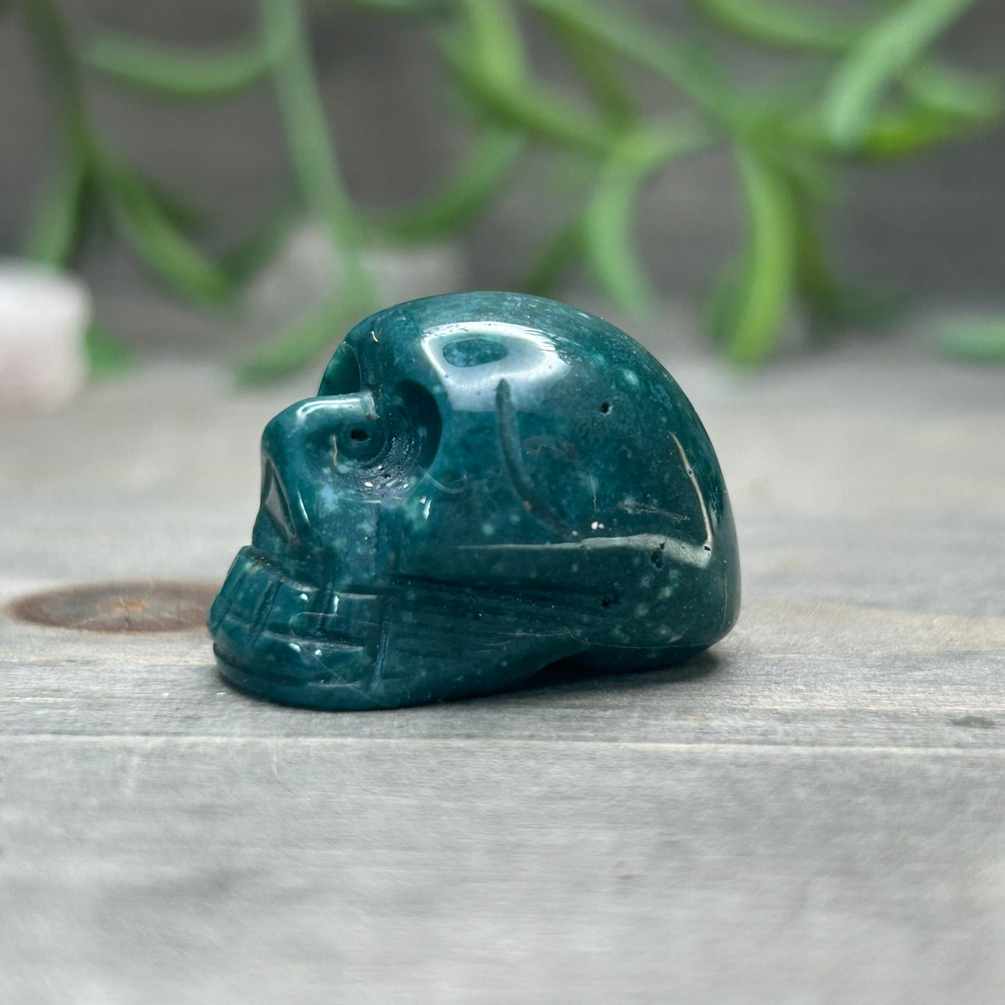 ocean jasper skull