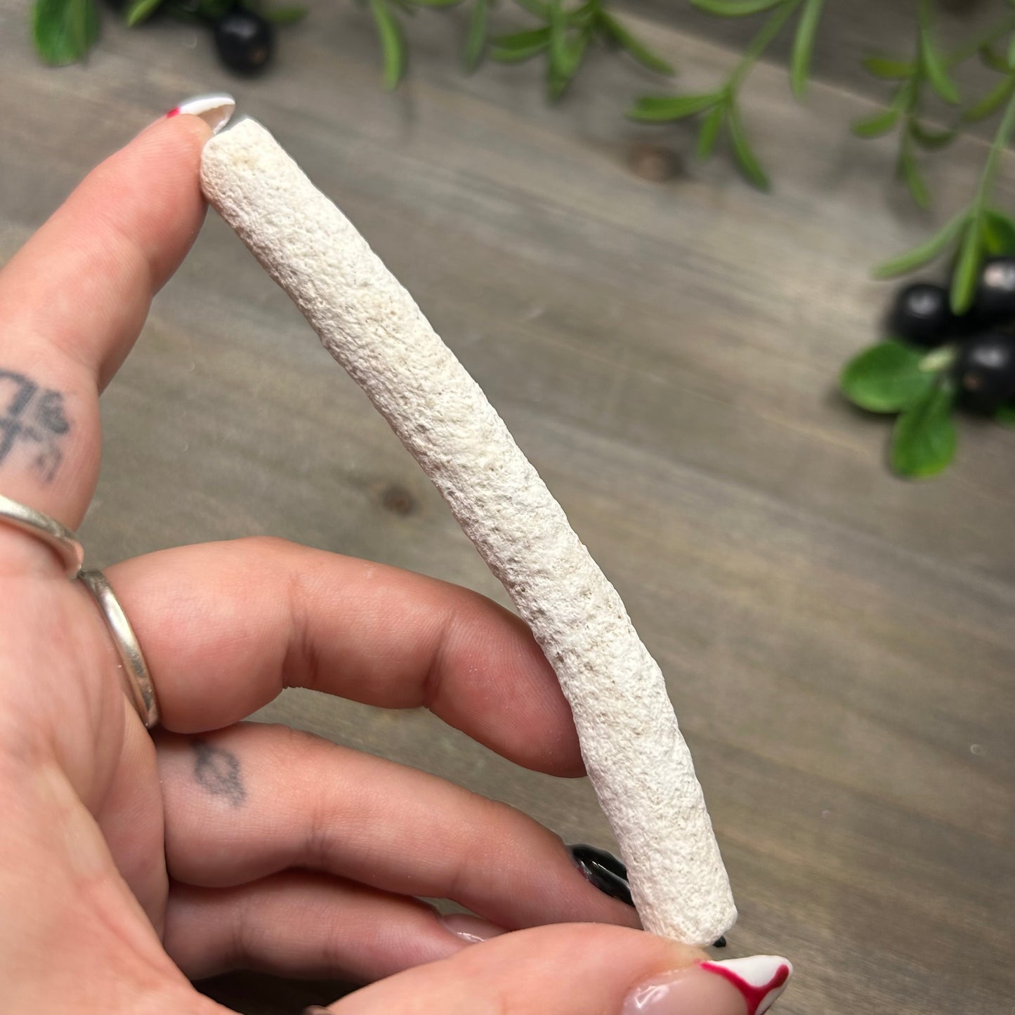 fossilized coral wand