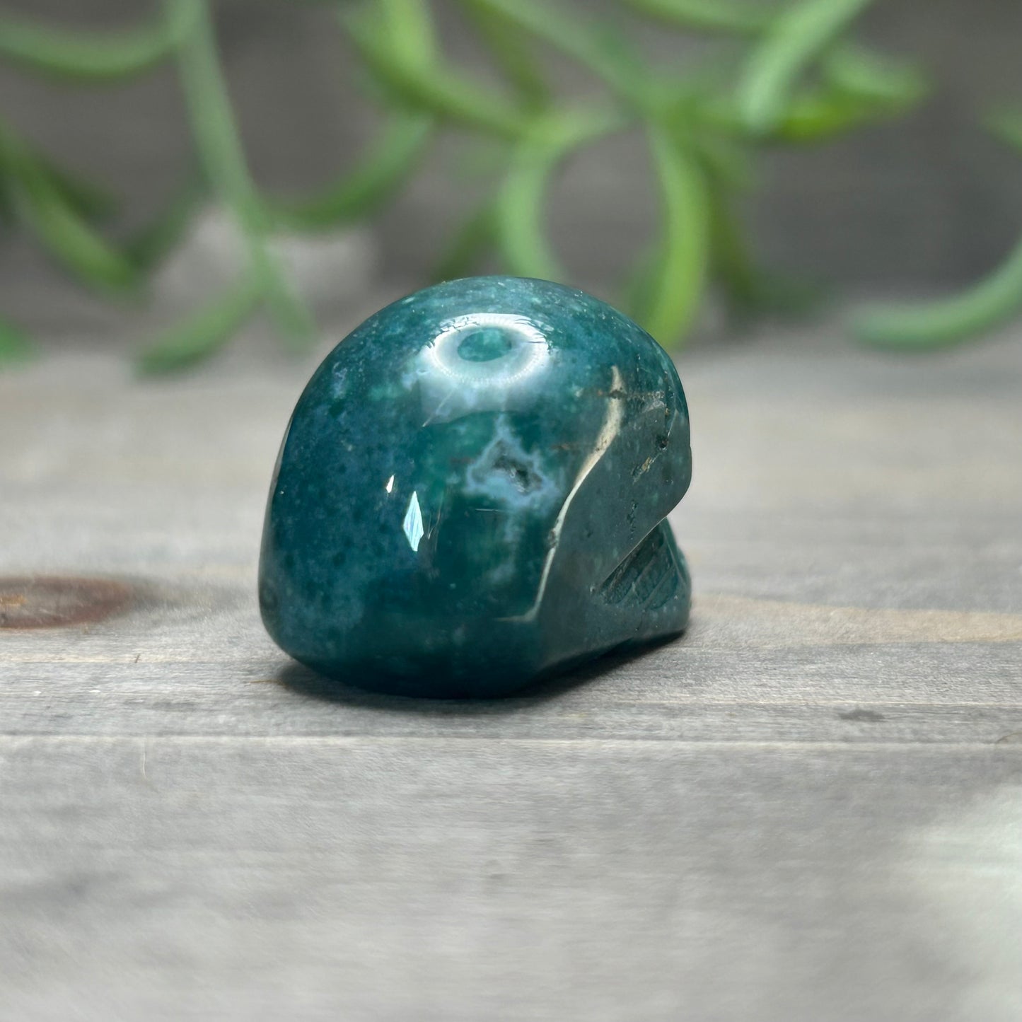 ocean jasper skull