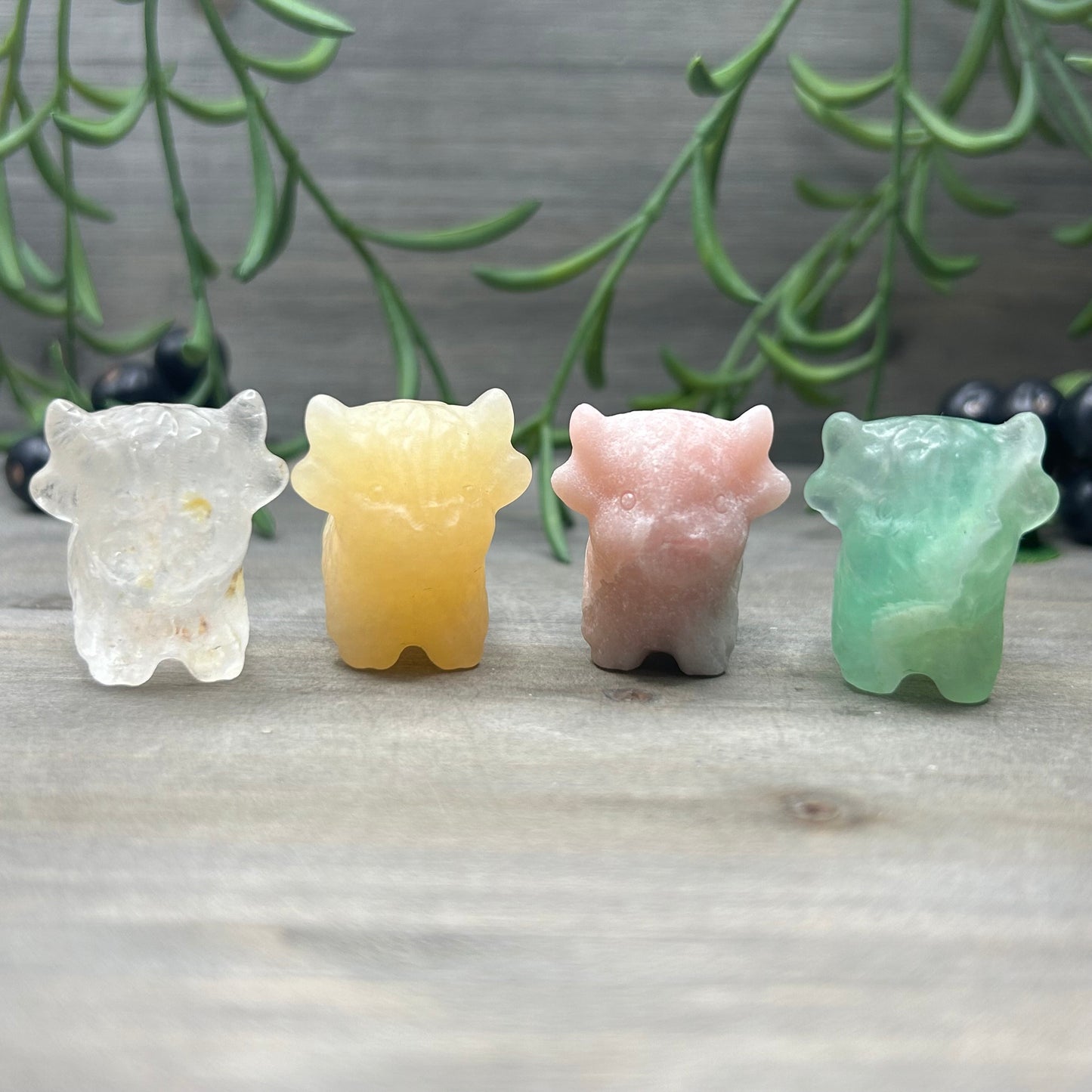 crystal cows