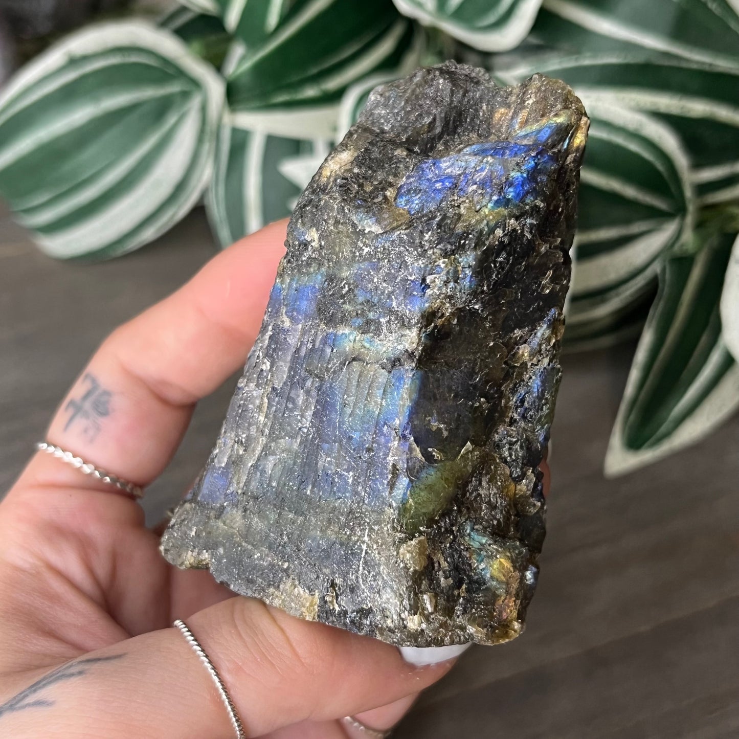 half polished labradorite freeform