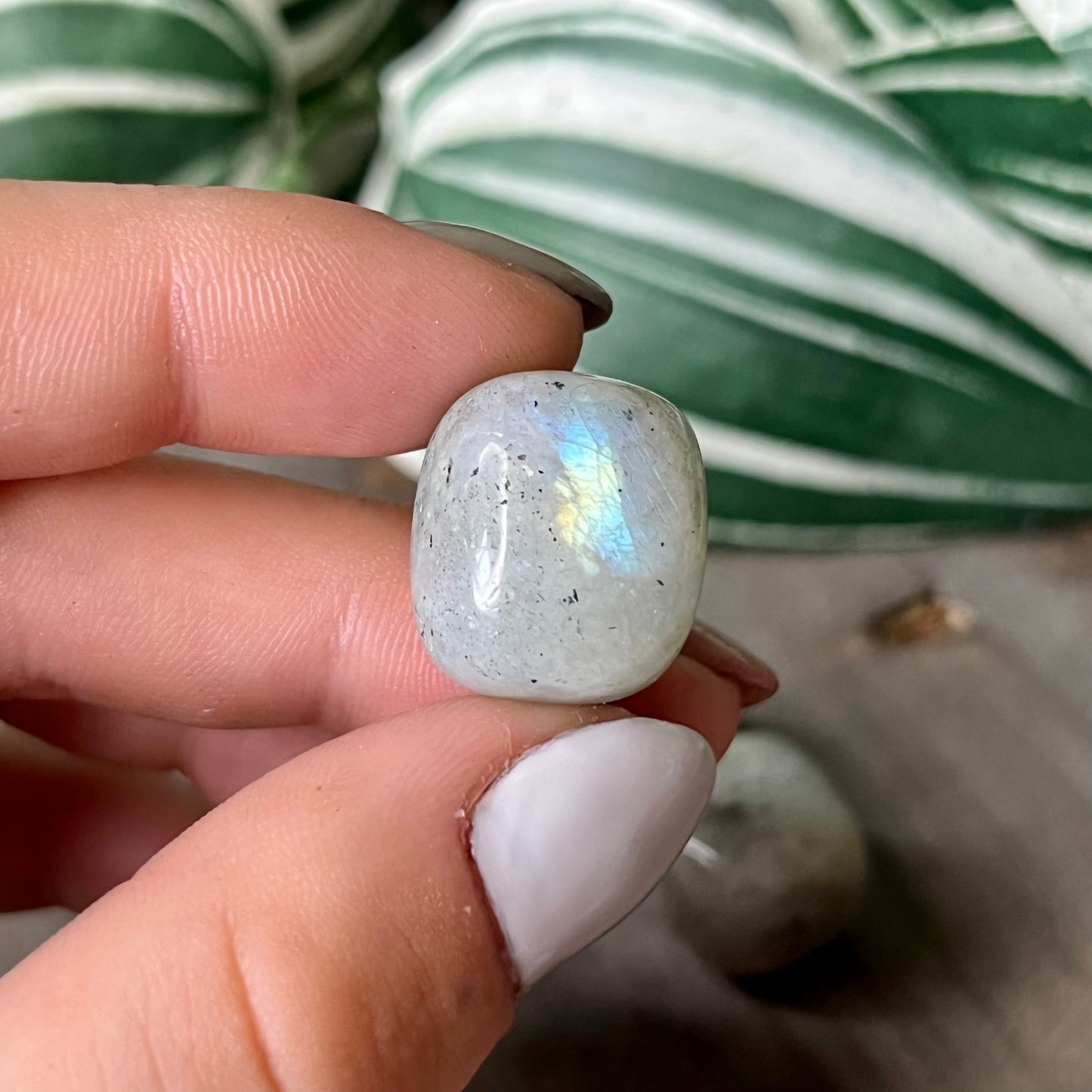 sunset labradorite tumble