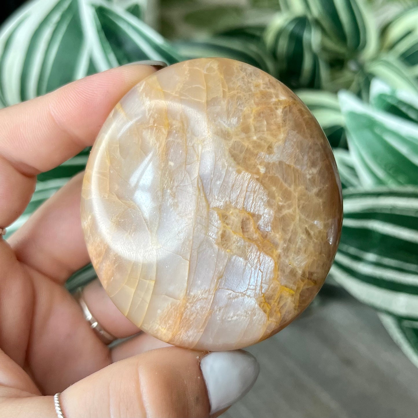 peach moonstone palmstone